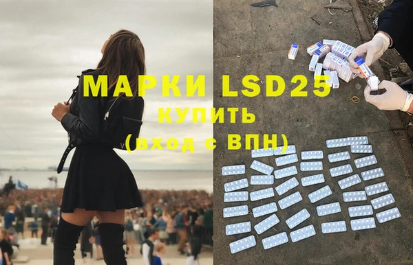 индика Бронницы