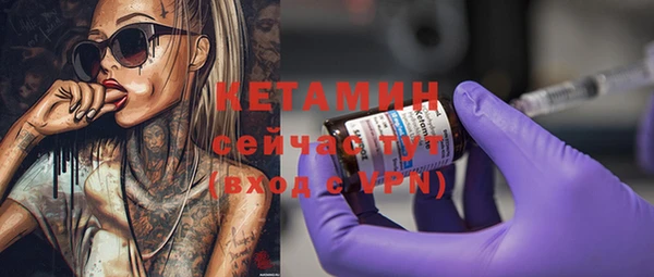 индика Бронницы